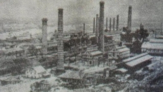 1946